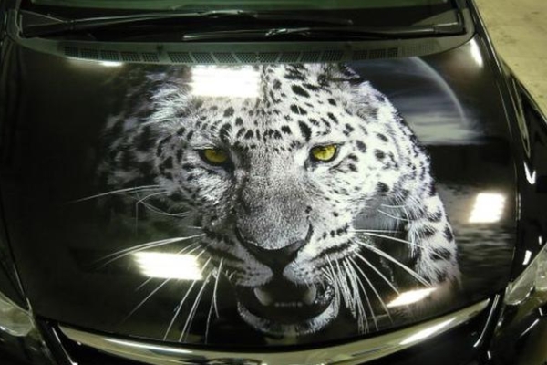 Аэрография на авто в новосибирске аниме. Смотреть фото Аэрография на авто в новосибирске аниме. Смотреть картинку Аэрография на авто в новосибирске аниме. Картинка про Аэрография на авто в новосибирске аниме. Фото Аэрография на авто в новосибирске аниме Аэрография на авто в новосибирске аниме. Смотреть фото Аэрография на авто в новосибирске аниме. Смотреть картинку Аэрография на авто в новосибирске аниме. Картинка про Аэрография на авто в новосибирске аниме. Фото Аэрография на авто в новосибирске аниме